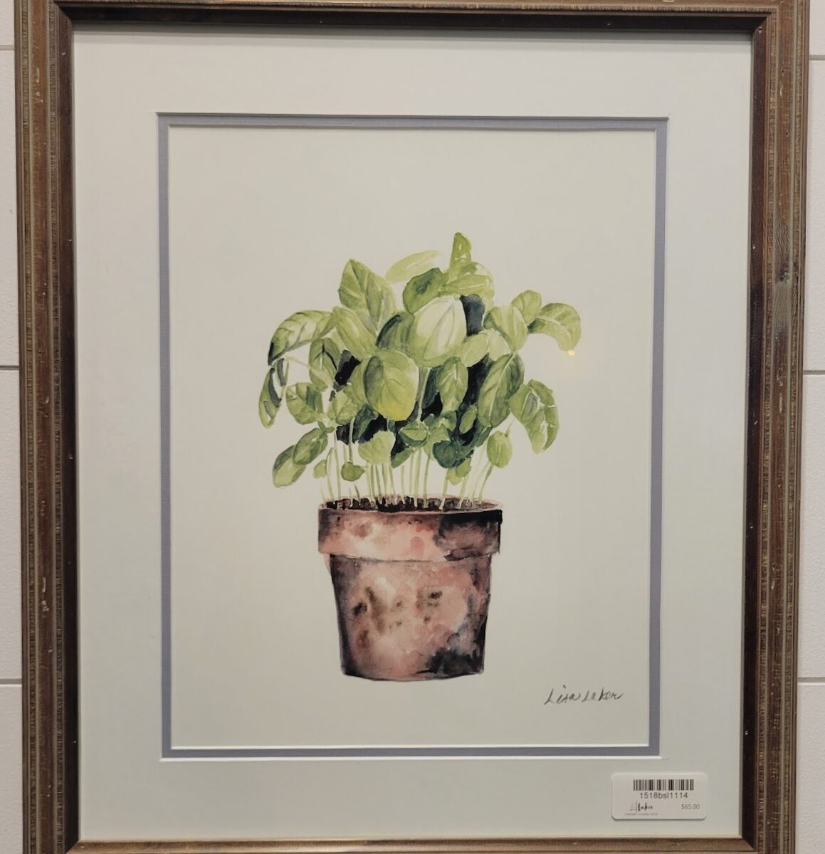 Framed Print Basil