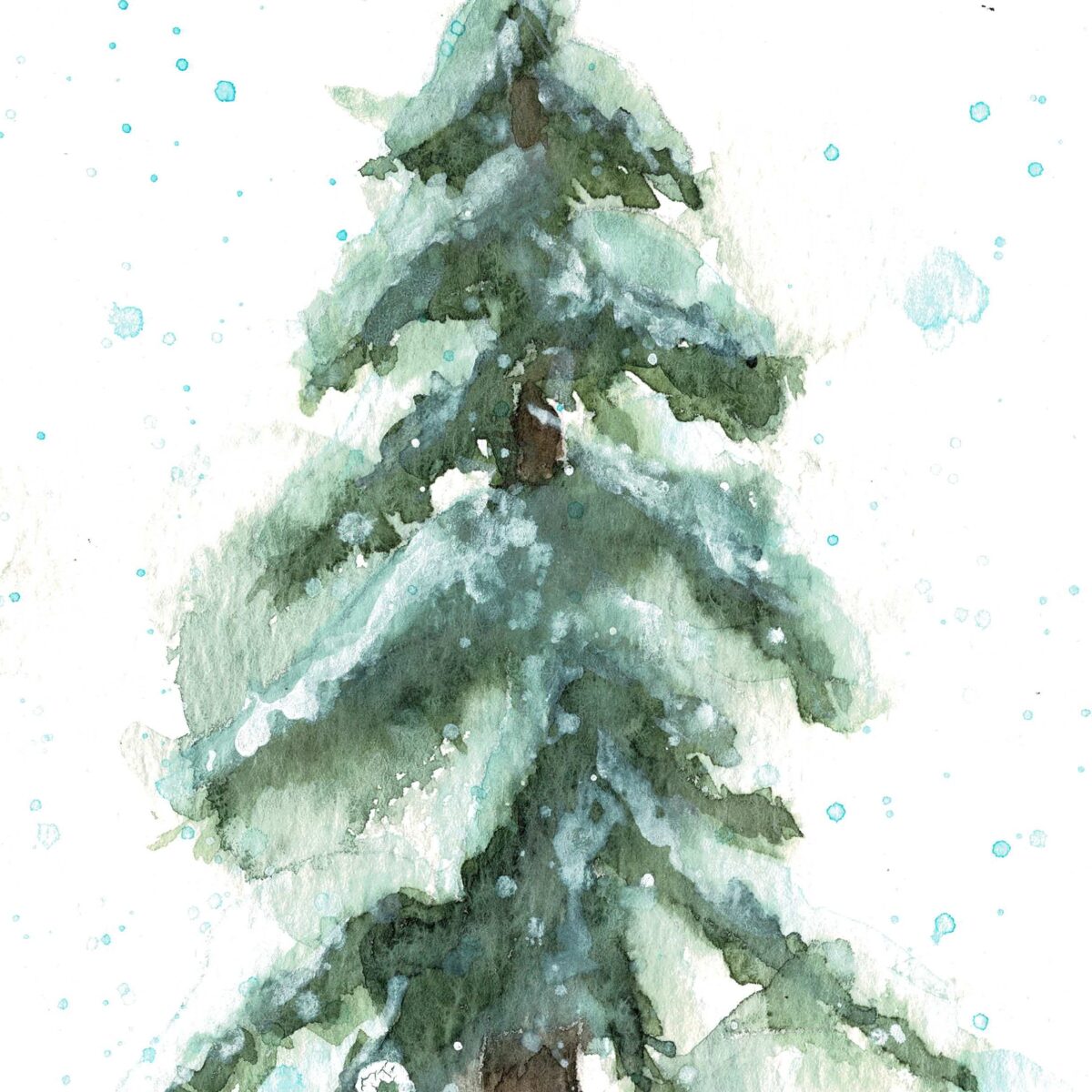 Single Snowy Pine 8x10