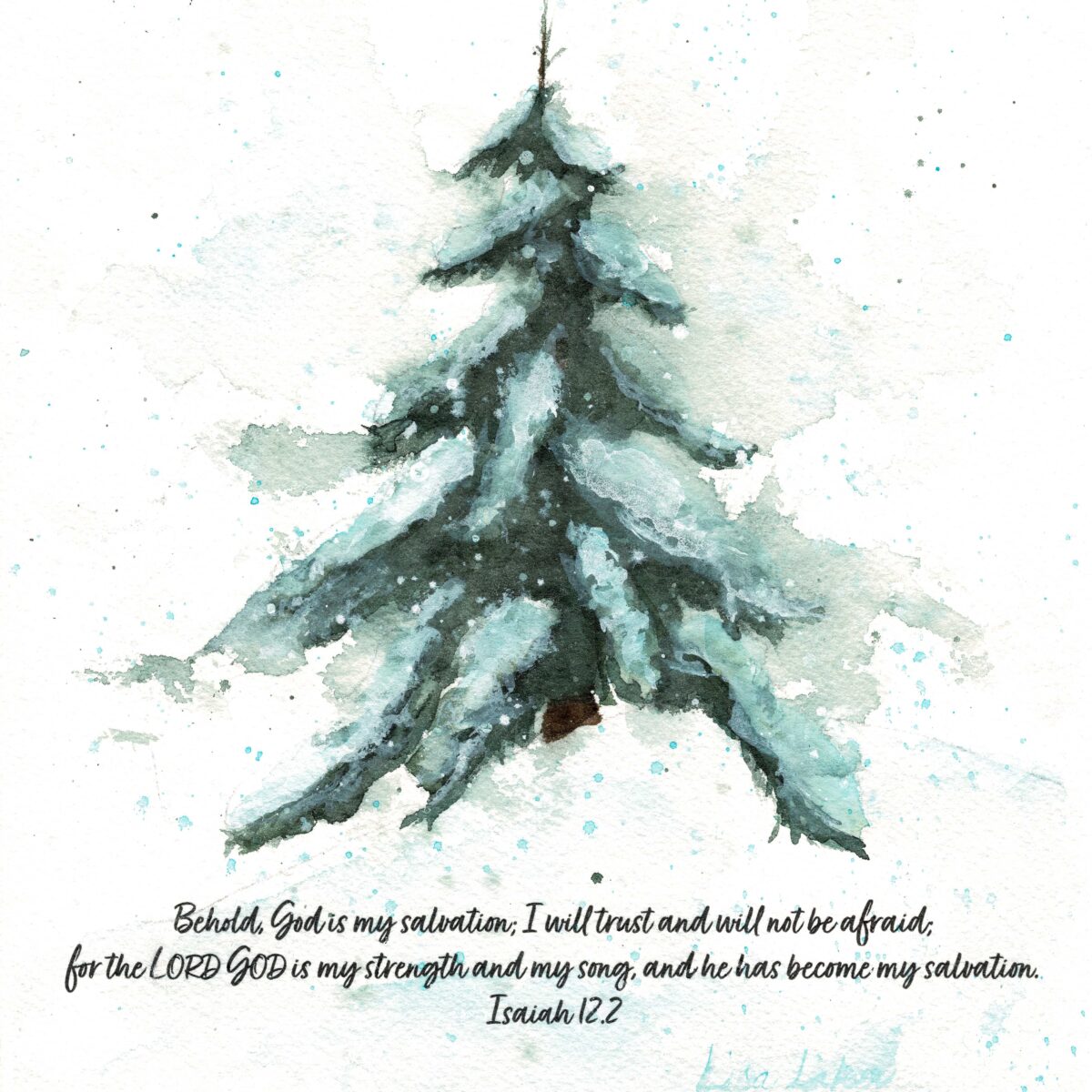 Christmas Snowy Pine 5x7