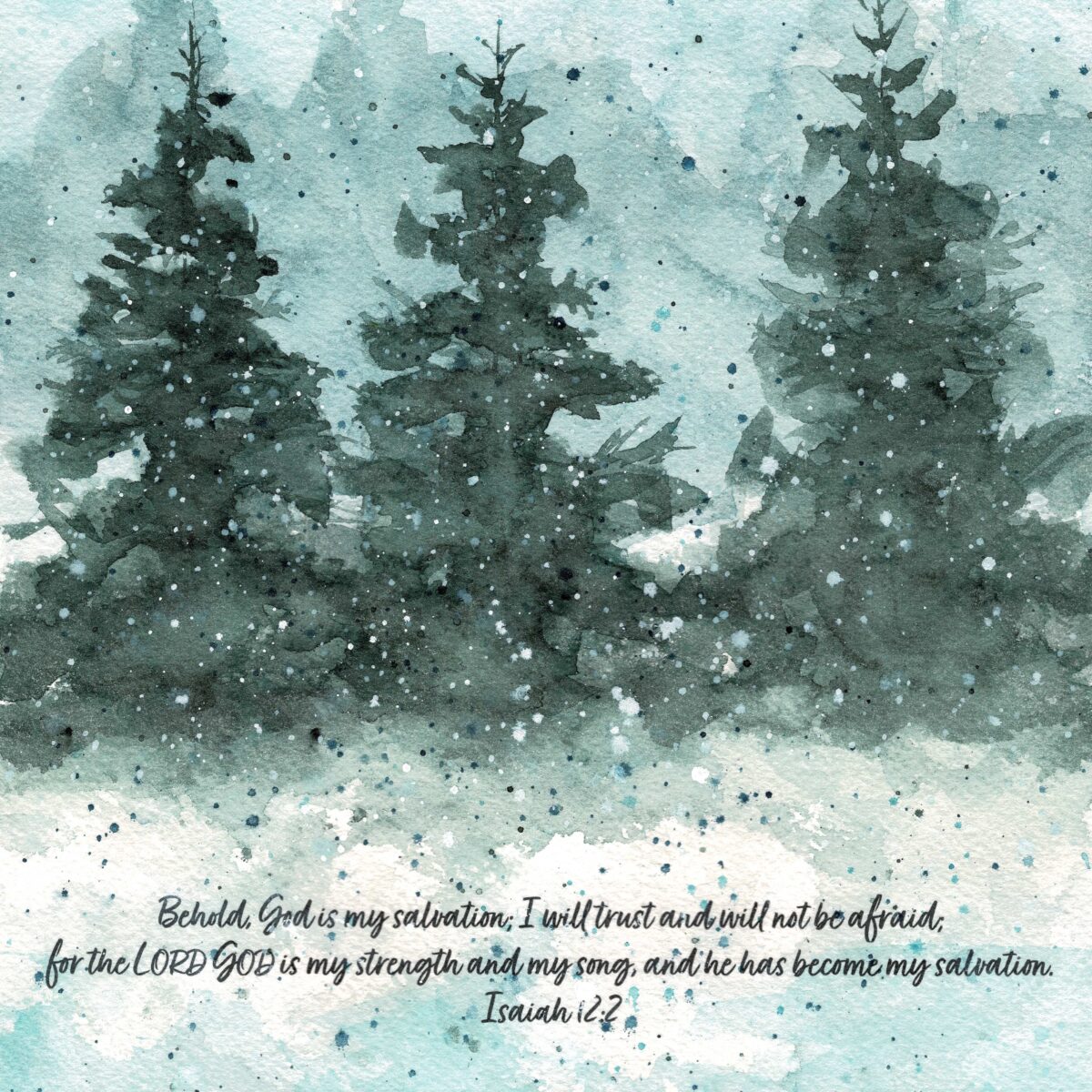 Christmas Triple Pine Trees 8x10