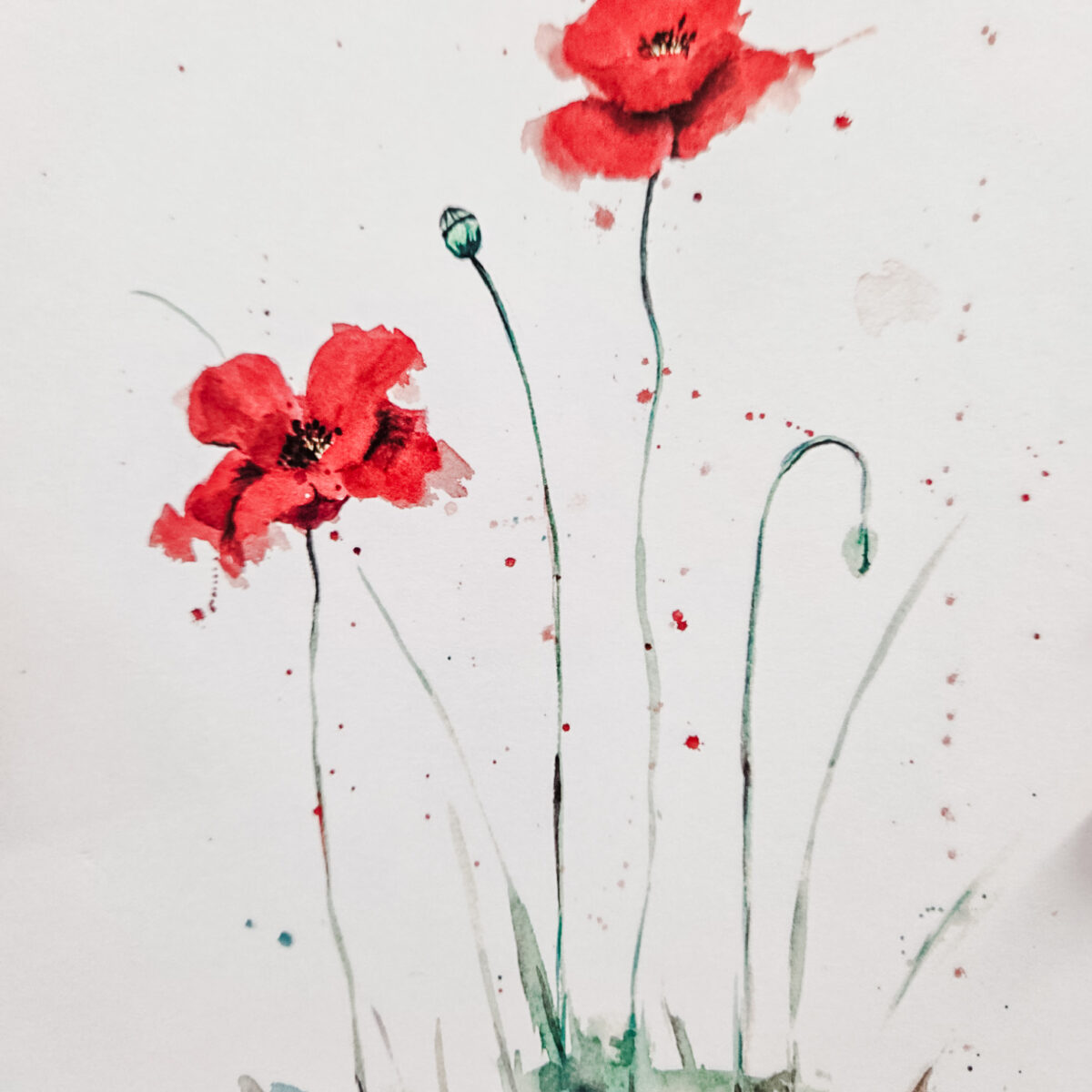Watercolor Class Poppies -- February 12 9:00-11:00