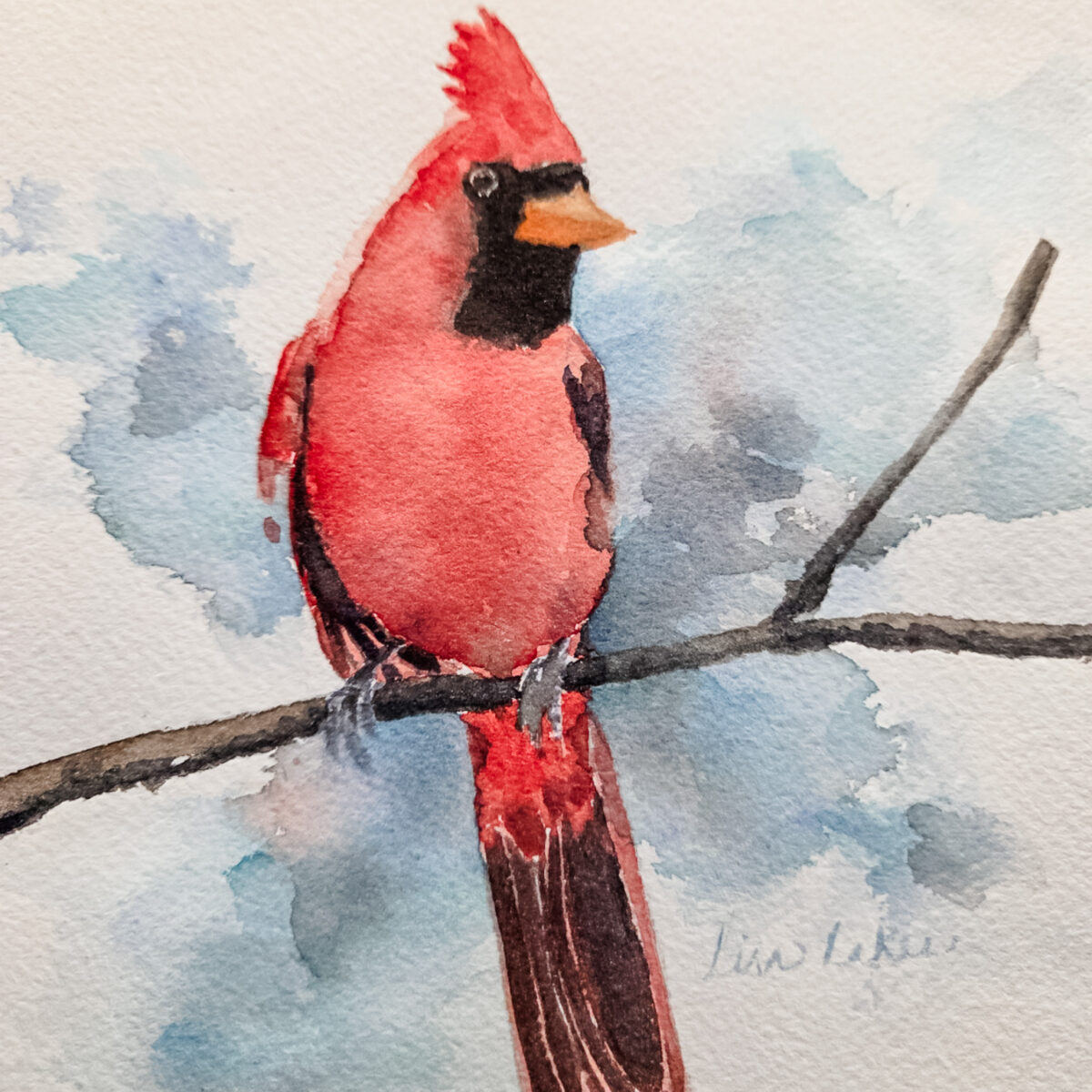 Watercolor Class Cardinal -- Thursday, February 19th 9:00-11:00