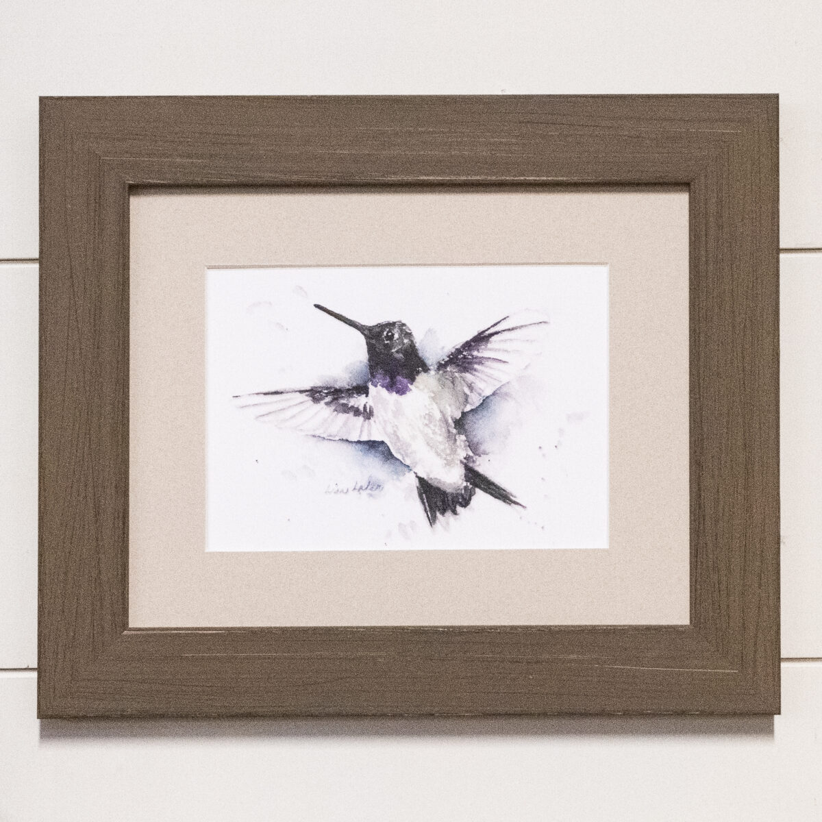 Framed Black Chinned Hummingbird