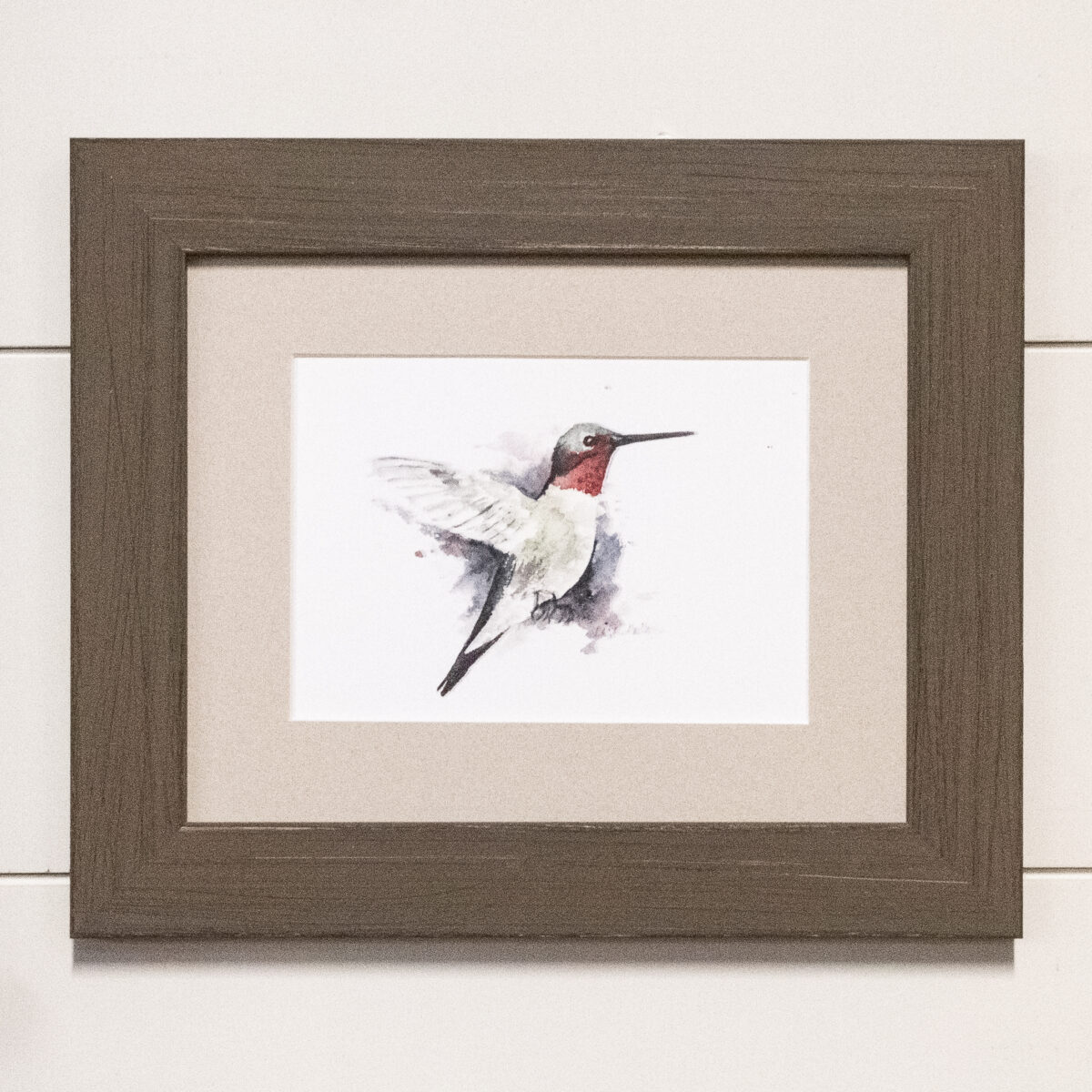 Framed Ruby Throat Hummingbird