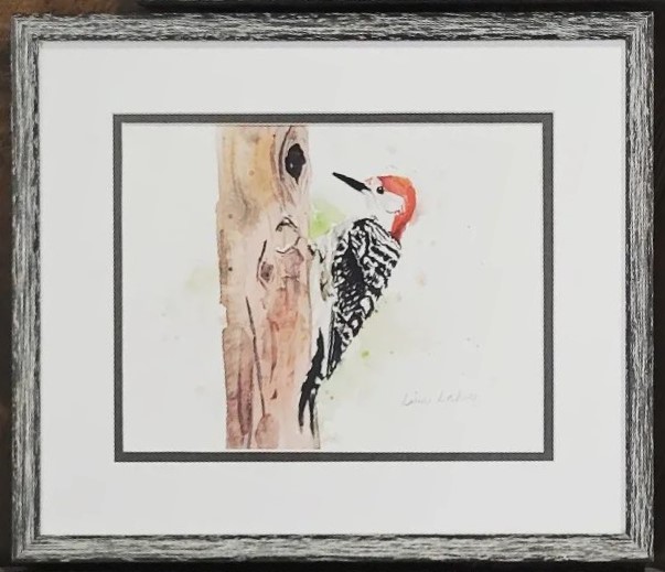 Framed Woodpecker Print